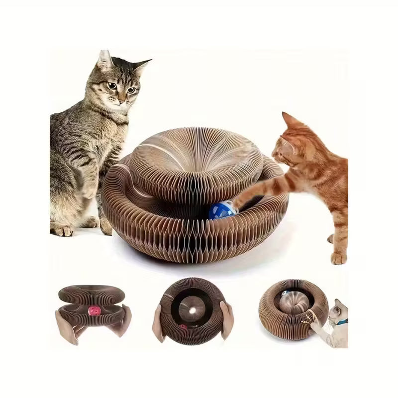 Katzenkokon Interaktive