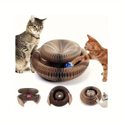 Katzenkokon Interaktive