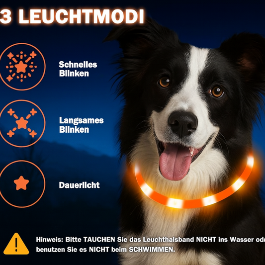 Das Leuchthalsband