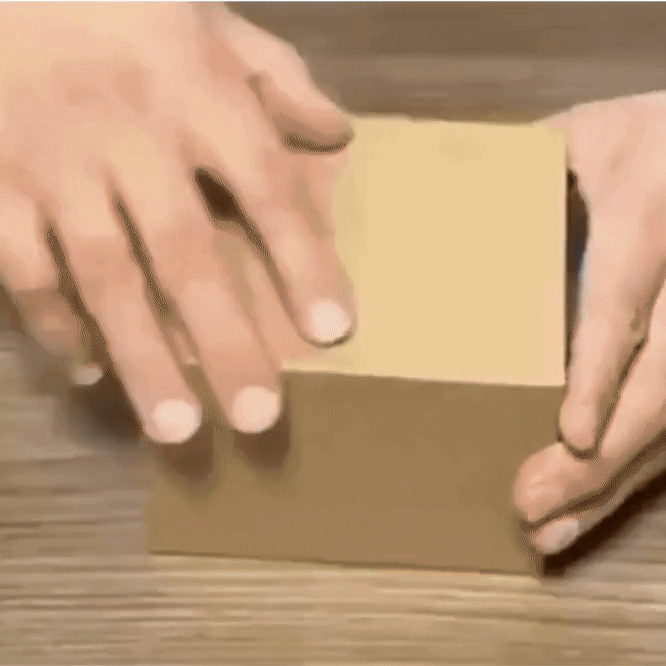 Katzenkokon Interaktive